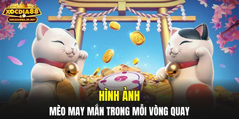 Hình ảnh mèo may mắn trong mỗi vòng quay 